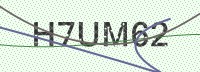Enter CAPTCHA Image