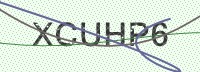 Enter CAPTCHA Image