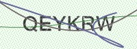 Enter CAPTCHA Image