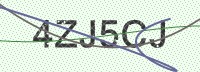 Enter CAPTCHA Image
