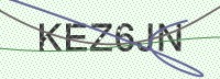 Enter CAPTCHA Image