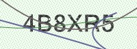 Enter CAPTCHA Image
