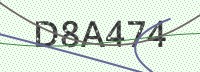 Enter CAPTCHA Image
