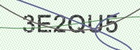 Enter CAPTCHA Image
