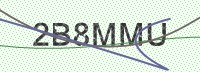 Enter CAPTCHA Image