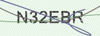 Enter CAPTCHA Image