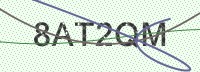 Enter CAPTCHA Image