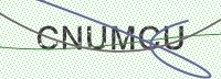 Enter CAPTCHA Image